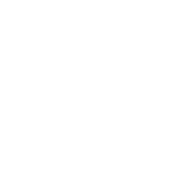 google icon